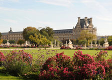 Jardin des Tuileries in Paris