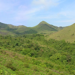 Mountain Trekking in Kodagu