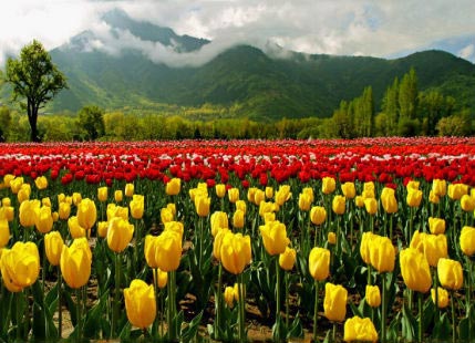 Explore Kashmir With Vaishnodevi Package