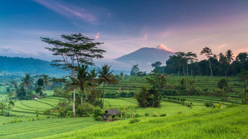 Bali Land Package Only