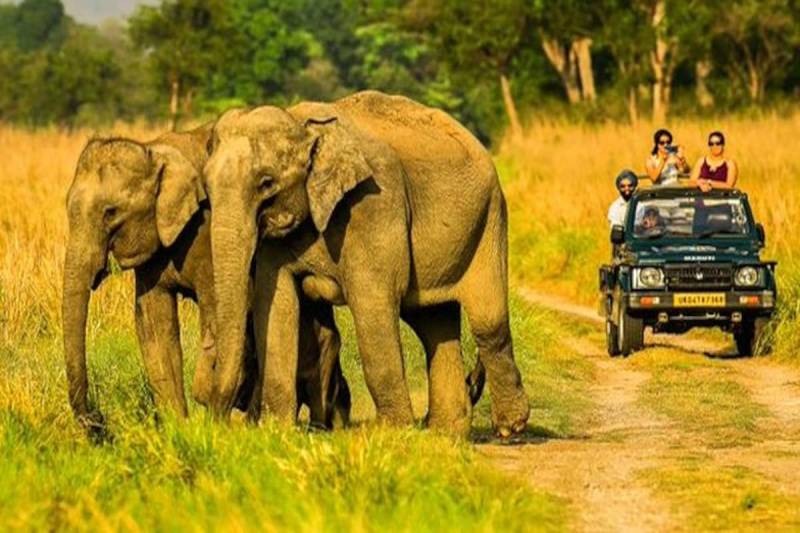 2 Nights/3 Days Jim Corbett Tour Package