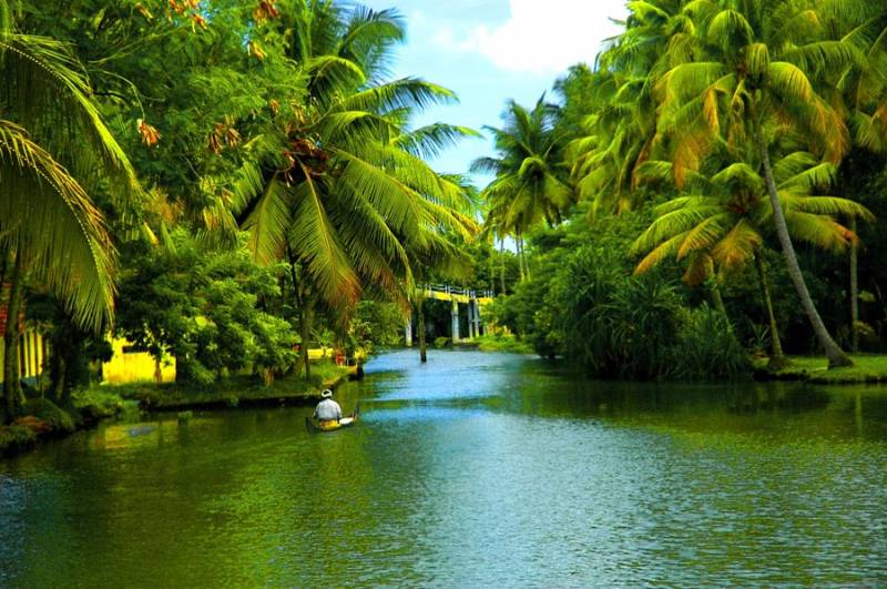 Kerla Tour (munnar, Thekkady, Aleppey, Kovlam, Kanyakumari) 6 Nights / 7 Days