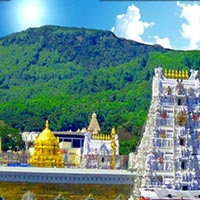 South India Temple Tour