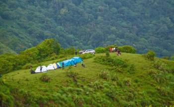 Vagamon Tour 2 Nights / 3 Days