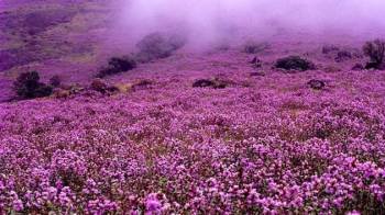 Kerala with Kanyakumari Tour Packages