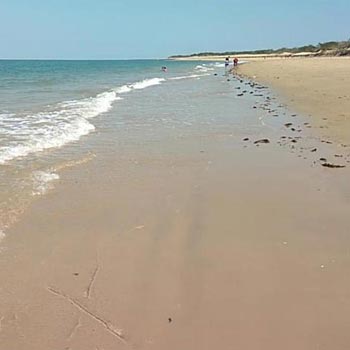 Gujarat Desert Beach Tour