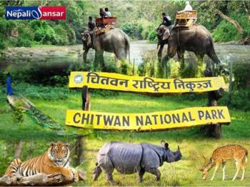 07 Day & 06 Night Kathmandu Tour package