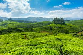 2 Night - 3 Days Kerala Tour Package