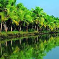 Kerala Honeymoon Holidays (06 Nights / 07 Days)